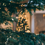 Jingle Bowels: 8 Tips for Happy Holiday Digestion!