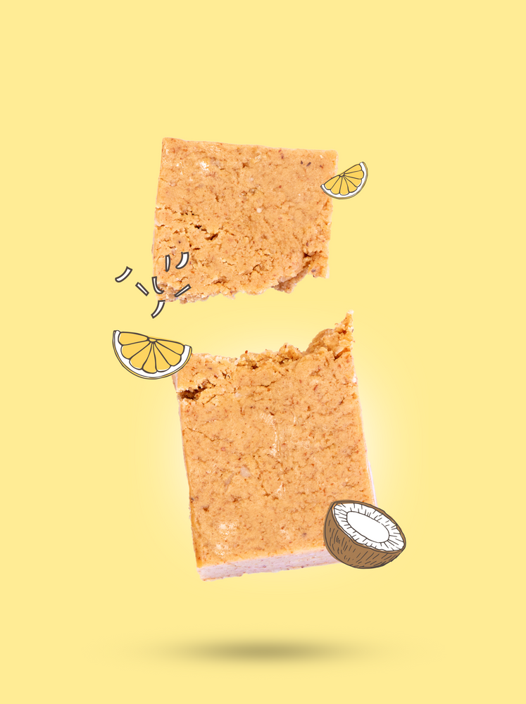 Lemon Coconut Protein Bars – Box x10