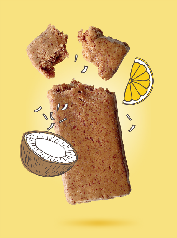 Lemon Coconut 10x 50g Bars